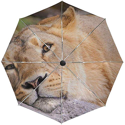 Preisvergleich Produktbild Automatischer Regenschirm Lion Face Lies Travel Convenient Winddicht Wasserdicht Folding Auto Open Close