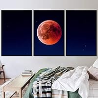 3 Piece Framed Canvas Wall Art Lunar Canvas Prints Home Artwork Decoration for Living Room,Bedroom - 16
