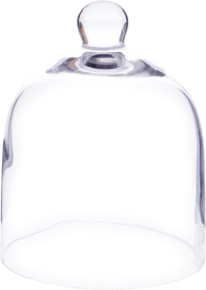 Plymor 5" x 6" Bell Jar Glass Display Dome Cloche (Interior size 4.75" x 4.5")