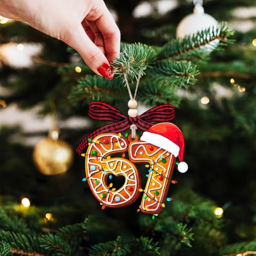 67 Ornament - image 6