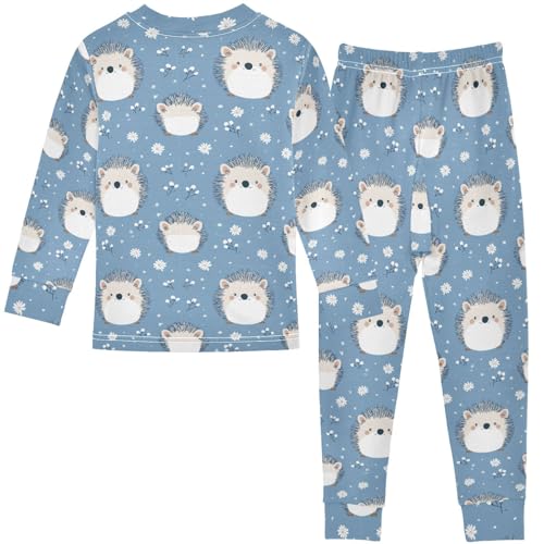 Pigsaly Pajama Set 2 Piece Cute Cartoon Hedgehogs Pajama Sets Long Sleeve Pjs Sleepwear 6Y2