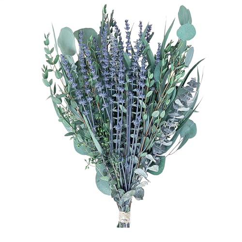 Paquete de eucalipto para ducha, flores de eucalipto, eucalipto Saligna Smith, paquete de ducha de eucalipto seco, decoración de spa de ducha de aromaterapia, ramas de plantas artificiales, 27 piezas