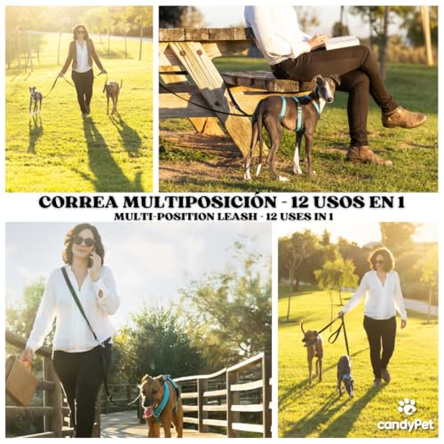 candyPet® 12 in 1 Multi-Position Dog Leash, Hands Free, Adjustable in 7 Lengths, Padded with Neoprene, 240 cm - Image 3