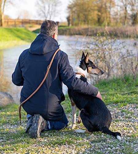 Hundeleine Leder 2,0m Premium Rund-Lederleine mit Edelstahl-Karabiner, Hunde Führleine mehrfach verstellbar - Francis (Braun)