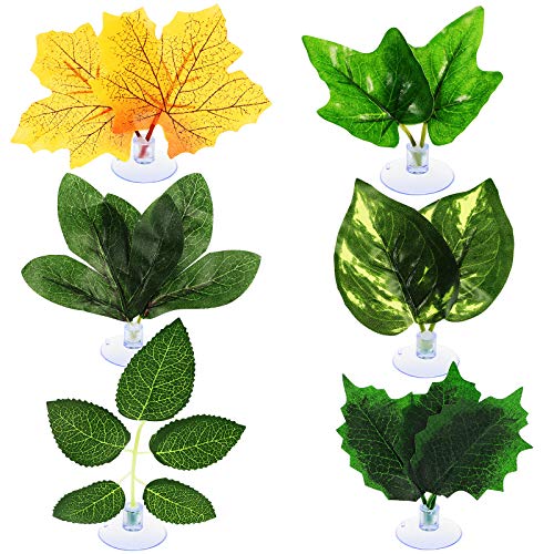 Juexica Betta Fish Leaf Pad Betta Fish Hammock Fish Tank Decorations Betta Bed Leaf Hammock Pad for Betta Fish Lightweight and Realistic Resting Spot Simulating The Wonderful Habitat (6 Pieces)