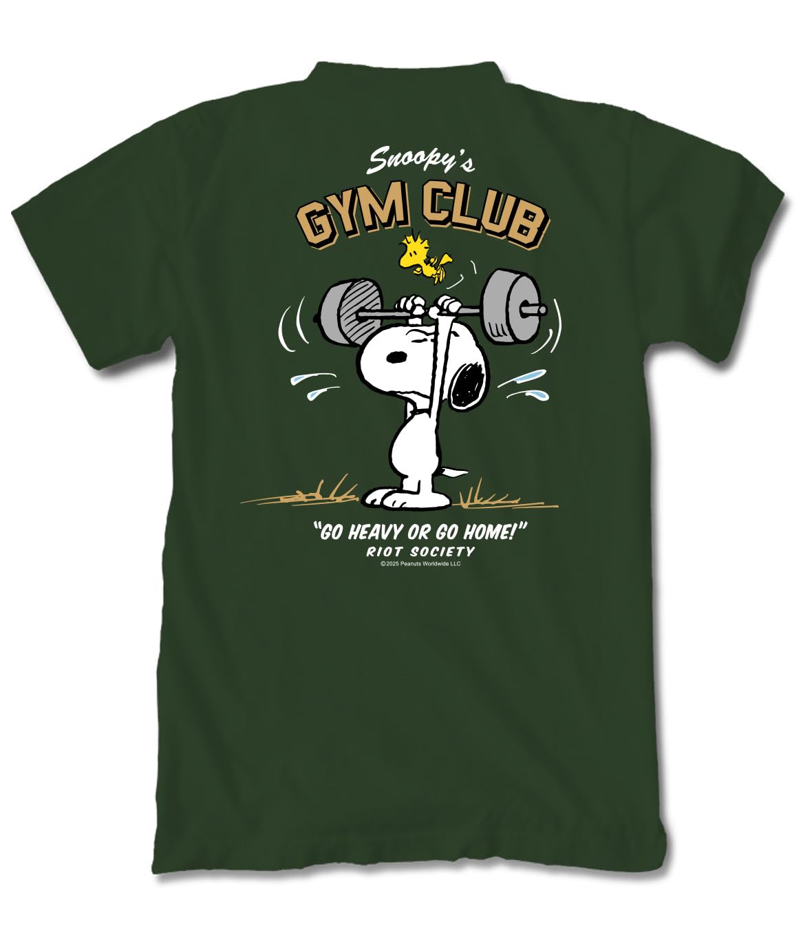 Riot Society Men's Short Sleeve Graphic and Embroidered Fashion T-Shirt