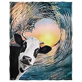 Zomer Kuscheldecke 150x200 cm Decke Warm Flauschige Decke als Wohndecke Tagesdecke Sofadecke mit Schiffe & Luftfahrzeuge Motiv