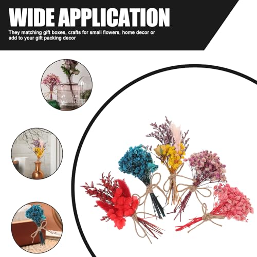 Mini ramo de flores secas Homoyoyo 5 piezas miniatura 3