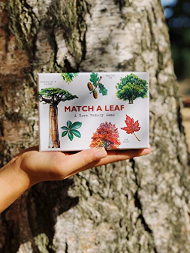 Match a Leaf: A Tree Memory Game - Image 6