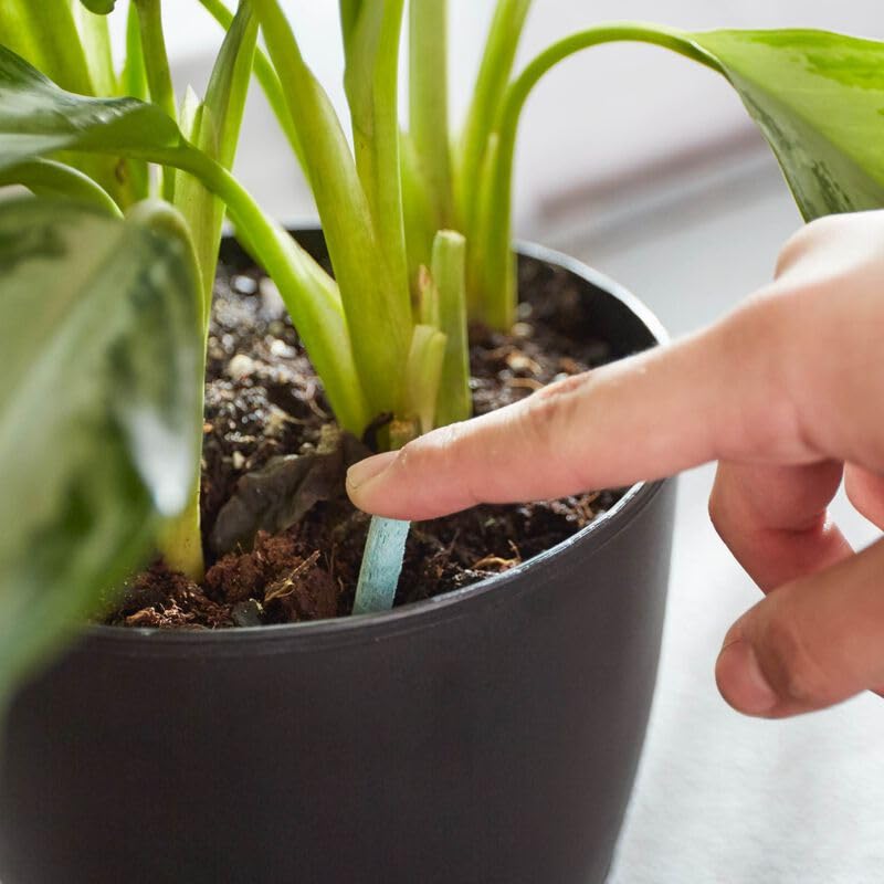 Image of 100% Natural Fertilizer Sticks, Magic Stick Plant Food for Indoor & Outdoor Plants, natural fertilizer for Home Garden Plants | Plant Growth Booster Healthy (40pcs-stick)