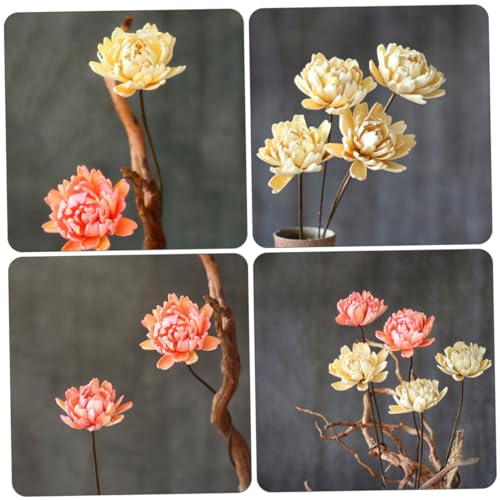 Ramo Decorativo de Flores Secas Natural 2 Piezas miniatura 6