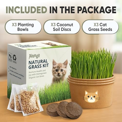 Image of Cat Grass Kit for Indoor Cats - x3 Seed Packets | Cat Grass Seeds with Recyclable Planter & Coconut Coir Expanding Soil Discs - Wheatgrass Grass