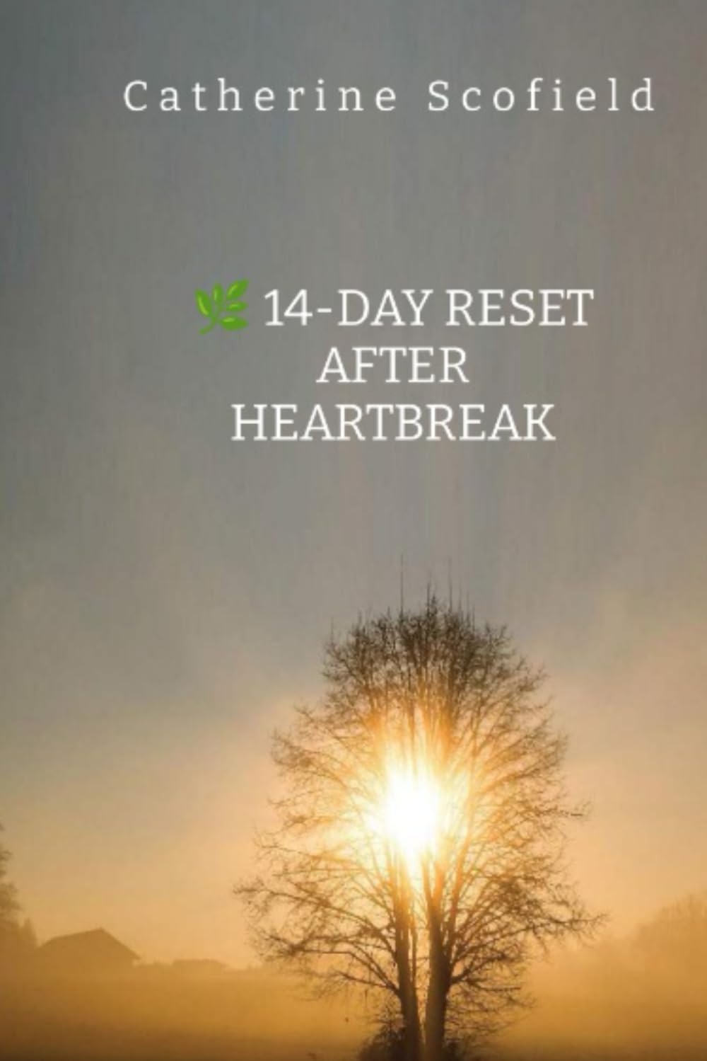 14-Day Reset After Heartbreak: A guided healing workbook for women navigating heartbreak, loss and life transitions