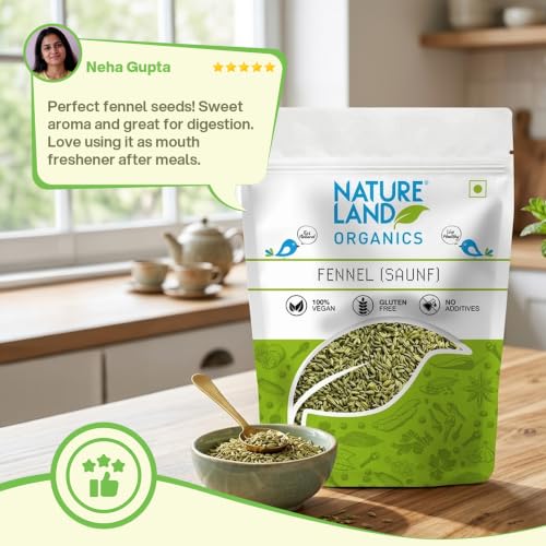 Image of Natureland Organics Fennel (Saunf) 100 gm - Organic Saunf