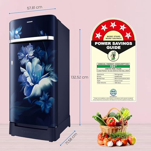 Image of Samsung 189L 5 Star, Inverter, Direct-Cool Single Door Refrigerator (RR21C2H25UZ /HL,Midnight Blossom Blue) Base Stand Drawer