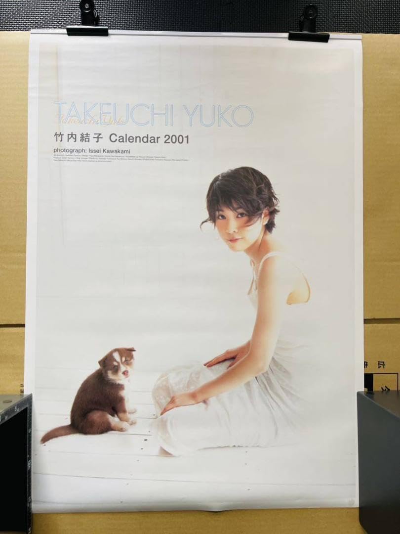 Amazon.co.jp: 竹内結子 2001年 カレンダー 袋に入って。当時物