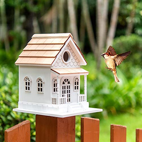 Vandue BH-GG Modern Home Outdoor Wooden Birdhouse thumb #6