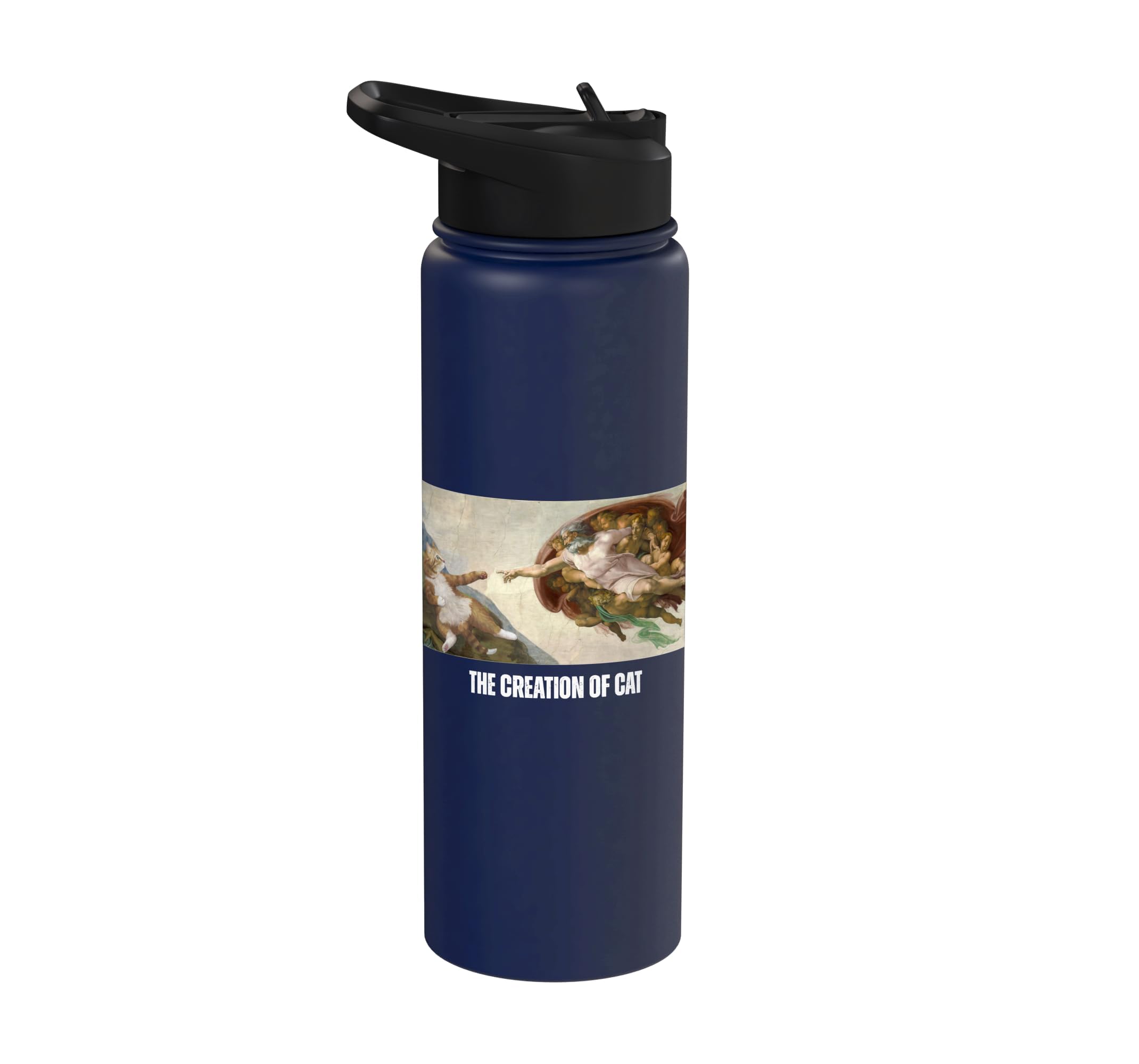Funny Cat God Creation of Adam Art Michelangelo Jesus Art Stainless Steel Insulated Water Bottle