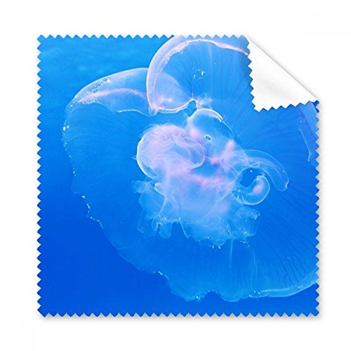 Cadeau chiffon de nettoyage Méduse Océan pour passionnés de sciences de la mer