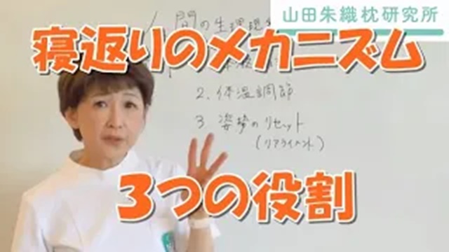 Amazon｜山田朱織枕研究所 ドクターズピロー 整形外科枕 60 × 30 枕