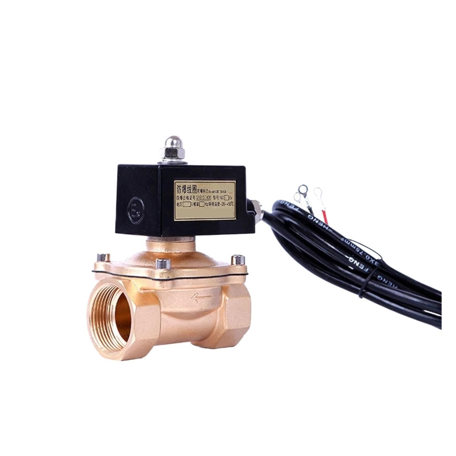 Électrovanne antidéflagrante 1/2 NPT pour sécurité gaz 220V