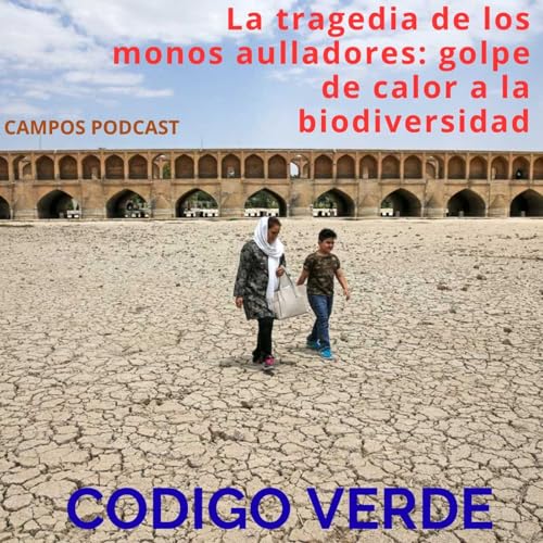 8.-Teherán al límite: la ciudad que se queda sin agua
