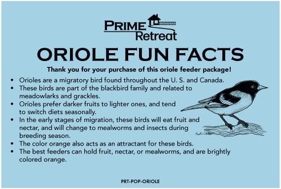 Metal Six Station Oriole Feeder Kit by Prime Retreat