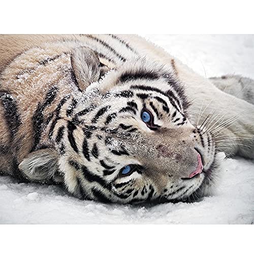 Peinture diamant tigre kit complet point de croix mosaïque strass loisirs créatifs 70x140cm