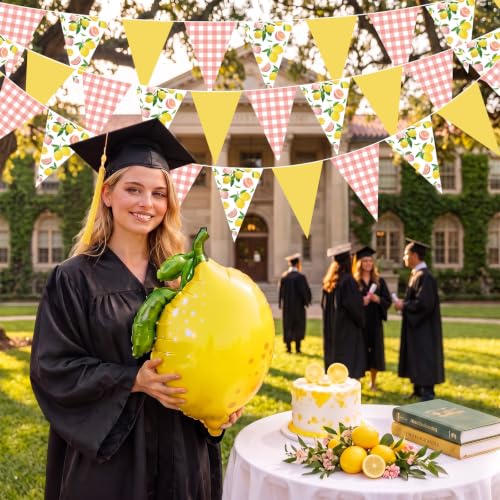Image of Faccito 5 Pcs Lemon Pink Gingham Pennant Banners Summer Wedding Decor