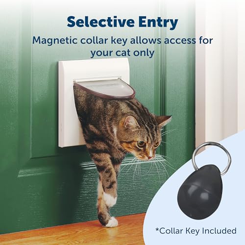 PetSafe Staywell 932GIFD Klassische Katzenklappe, 4-Wege-Verschlusssystem, magnetisch