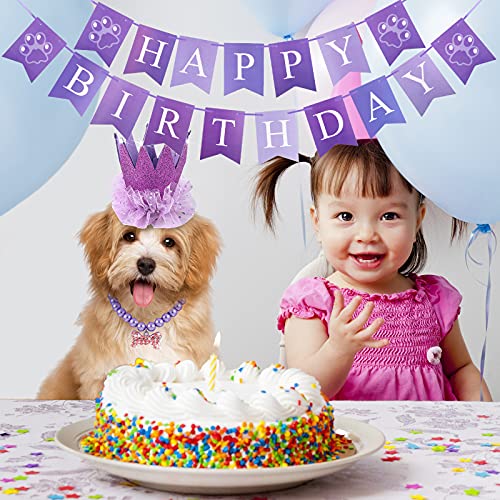 Disfraz cumpleaños perro 4 piezas tutu corona collar miniatura 7