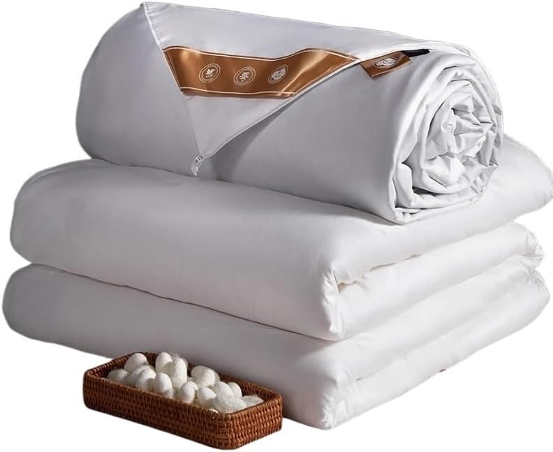 Couple Bedding Quilt Silk Comforter with Cotton Shell Winter Warm Duvet Blanket(E,220x240cm)