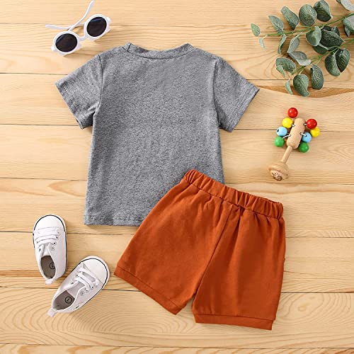 Image of BeQeuewll Toddler Baby Boy Easter Outfit Letter Bunny Print Short Sleeve T-Shirt and Shorts Summer Clothes Set
