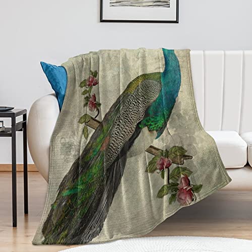 Couverture polaire paon déco de salon chaude pour soirée cocooning