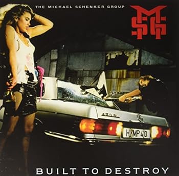 Vinyl Built to Destroy Book