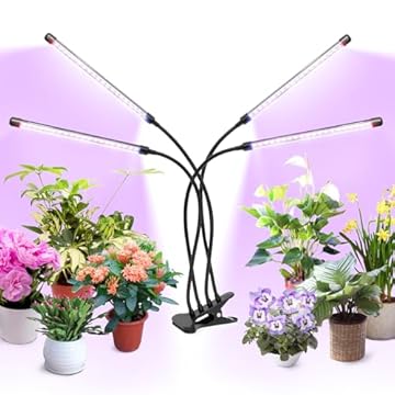 blue light for plants at night