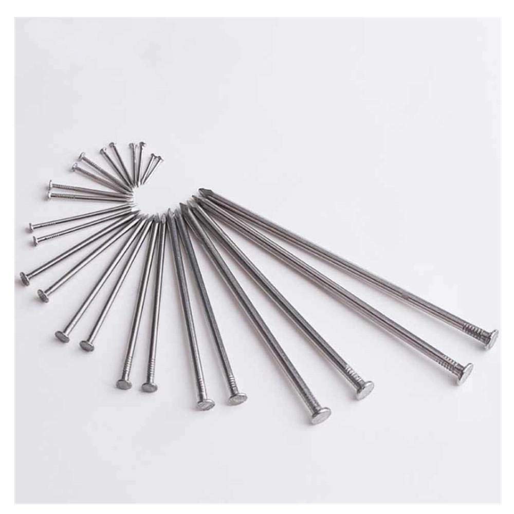 Clavos de ferretería, clavos de acero para ladrill Clavos de acero inoxidable 304, clavos, redondos carpintero, alargados, 50 unidades 1 pulgada(1 Inch)