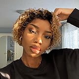 Ali Bling T27 Pixie Cut Wig 13x1 Short Curly Human Hair Wig Pixie Wigs For Black Women Human Hair 1B/T27 Glueless Wigs Pre Plucked Pixie Cut Short Curly Lace Front Wigs