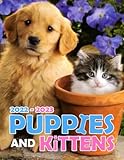 cute decor for bedroom  Puppies and Kittens 2022 Calendar: Cute Little Cats And Dogs Mini Planner Jan 2022 to Dec 2022 PLUS 6 Extra Months of 2023, Photos Collection For Animal Lovers