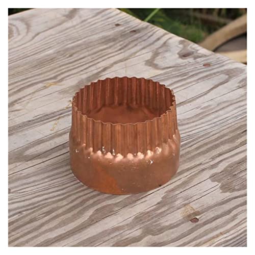 JA J`F[a_EpCvRl̉H΂JRlaRla둕IȂЂa IȐElZAGKg(S)