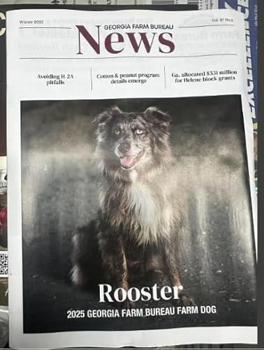 The Australian Shepherd That Replaced Four Cowboys