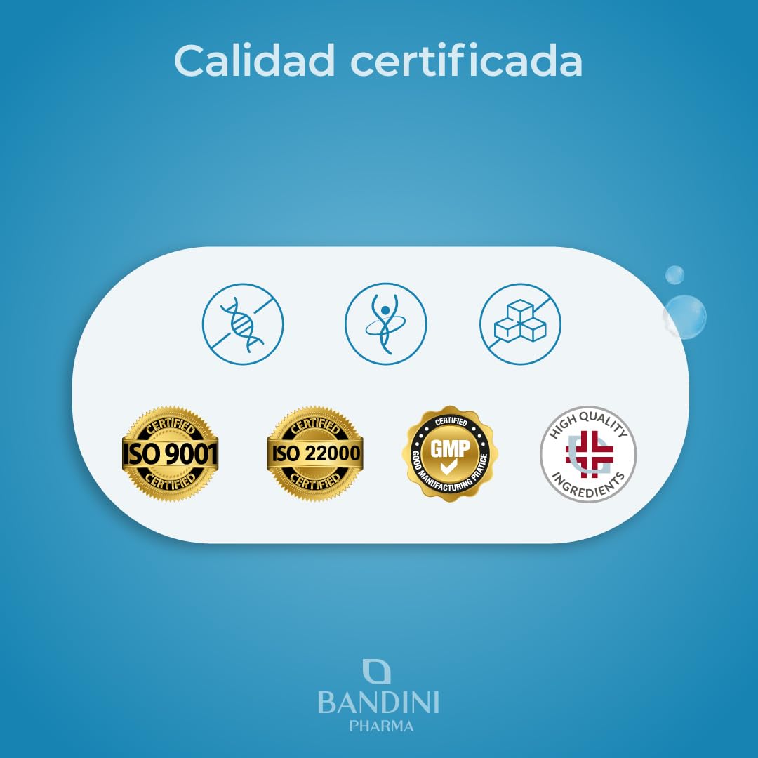 Bandini® Glucosamina Condroitina MSM y Vitamina C 366 Comprimidos | Para articulaciones y cartílagos | Complejo con 600 mg de glucosamina, 100 mg de condroitina y MSM por dosis | 6 meses de suministro
