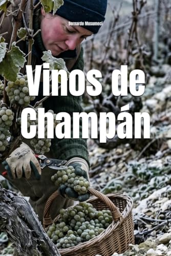Vinos alrededor del mundo: Champán (Wines of the World: France) (Spanish Edition)