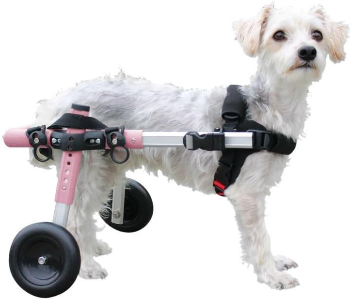 Walkin' Wheels Small Dog Wheelchair, Lightweight Dog Wheelchair for Back Legs, 11-14 lbs, for 7-8 inches Leg Height - Blue