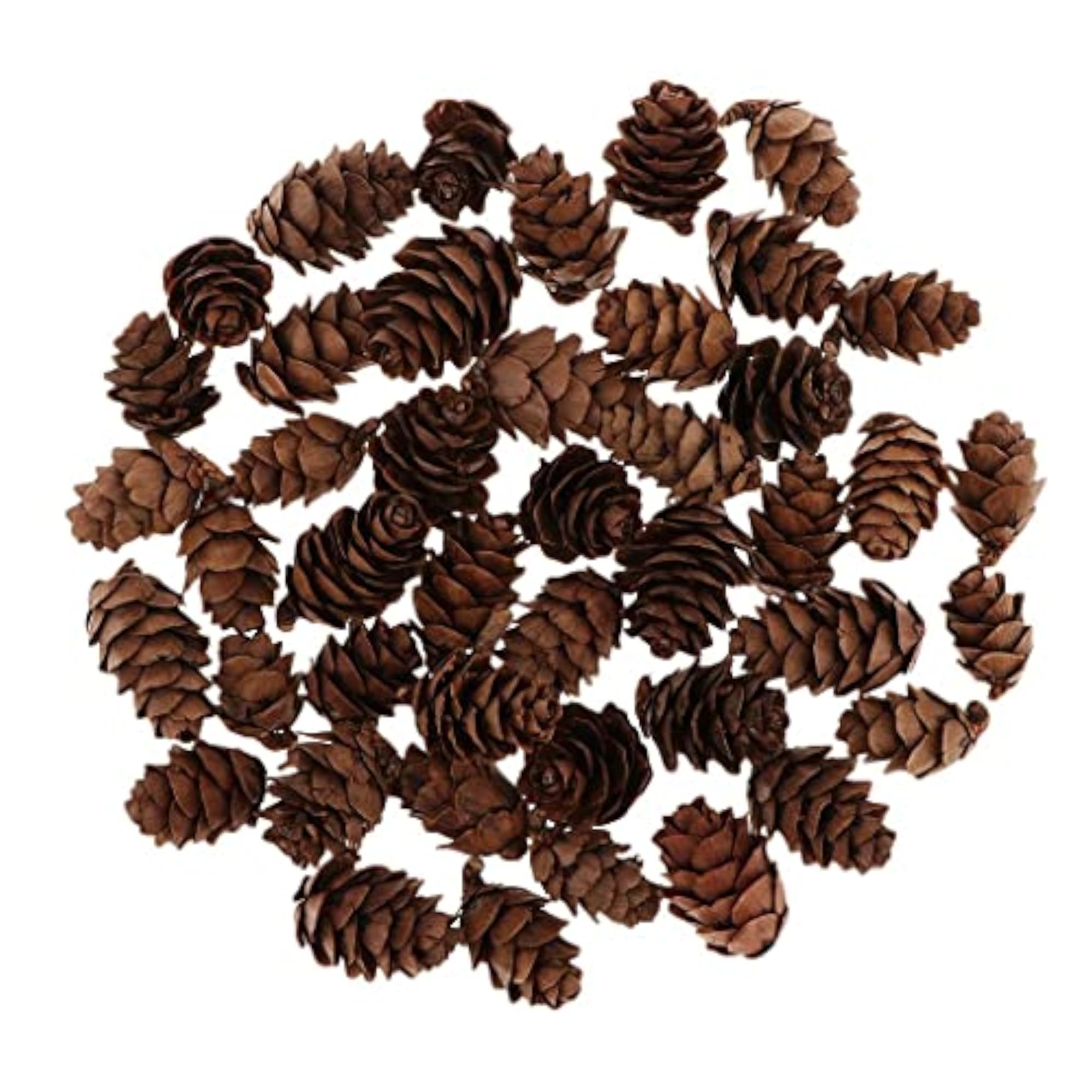 2x60Piece Pine Cone Pineal Nuts Party Decorations