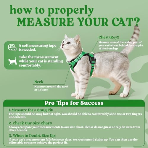 Image of rabbitgoo Cat Harness and Leash Set, Escape Proof Vest, Grass Green | Soft Breathable Mesh, Easy Adjustable Fit, Snap Buckles, Sturdy Clip, Reflective Strips, for Small & Average Cats Walks, Xs