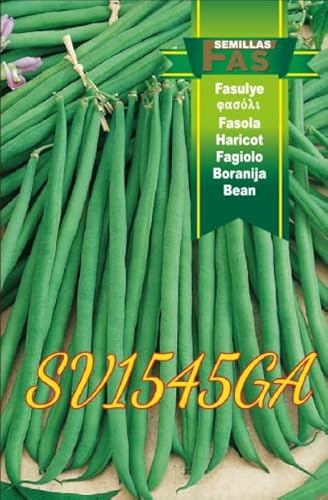 Fagiolo Nano SV1545GA, Confezione da 2500 Semi