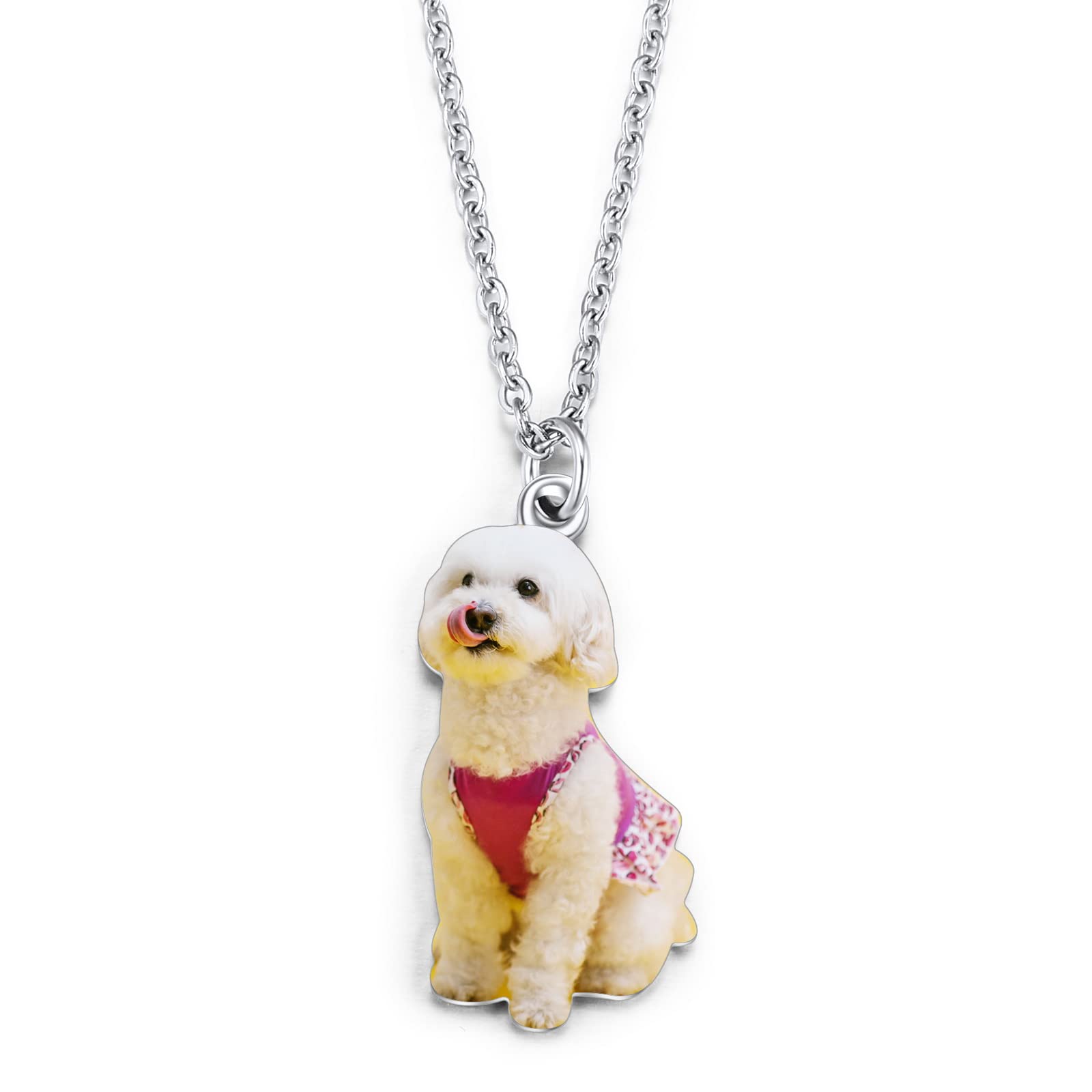 INBLUE Collana con Foto Personalizzata Regali per Gli Amanti dei Cani e dei Gatti Collana con Ciondolo con Foto Personalizzata per Animali Domestici Regali Commemorativi a Forma di Cuore/Rotondi