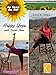 Happy Yoga with Sarah Starr | Chair Yoga Volume 6
