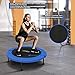 Physionics® Mini Trampolin - Klappbar, Ø81/91/96/102/114/122cm, bis 100 kg, Schwarz-Blau - Minitrampolin, Indoor und Outdoor Bodentrampolin für Erwachsene, Fitness, Sport, Jumping